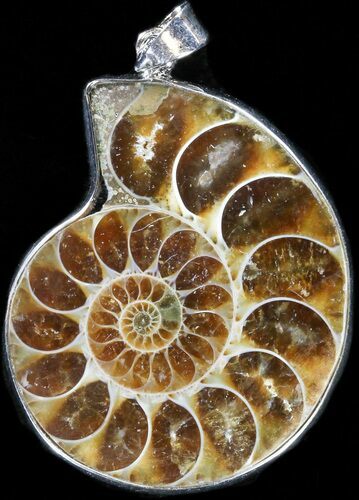Fossil Ammonite Pendant - Million Years Old #37894